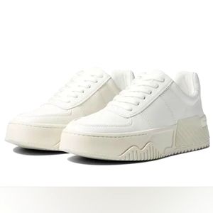 STEVE MADDEN- Women's Sonic Lace-Up Sneakers